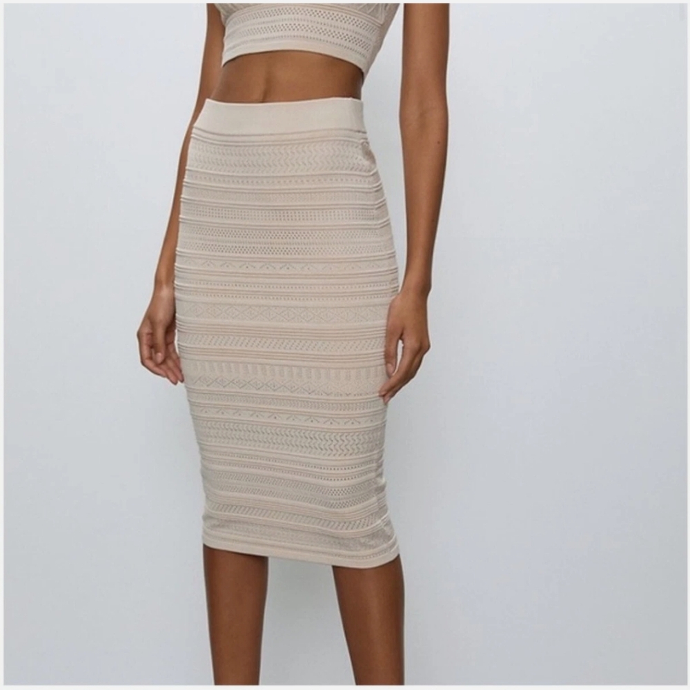ARITZIA Bodycon Skirt